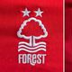 David Ornstein says Nottingham Forest have signed £30m Arsenal player in shock late deal