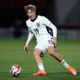 Tottenham might have next Will Lankshear as 17-year-old scores four in one game