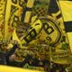 Dortmund criticise Italian authorities over fan treatment