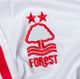 Loan + big buying clause – Nottingham Forest exit starting to shape up