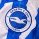 “Knee and Achilles tendon” – Brighton star hints at frustration amid injury concerns